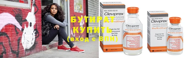трава Корсаков