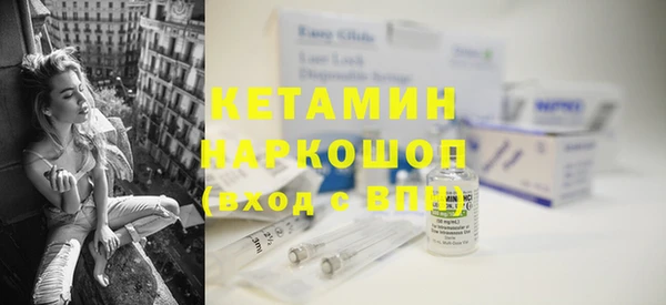 трава Корсаков