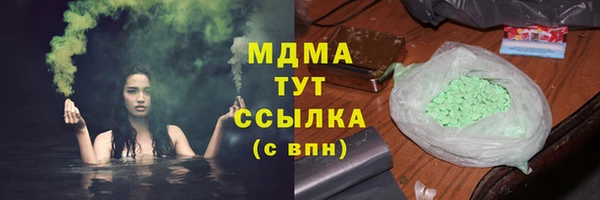 трава Корсаков