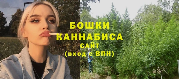 трава Корсаков