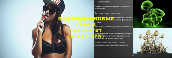 трава Корсаков