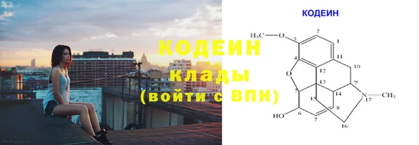 трава Корсаков