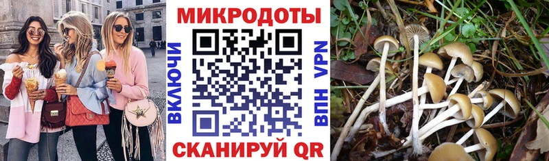 Псилоцибиновые грибы прущие грибы Невинномысск
